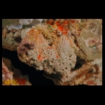 Treasure's Price detail 8x10 in.jpg